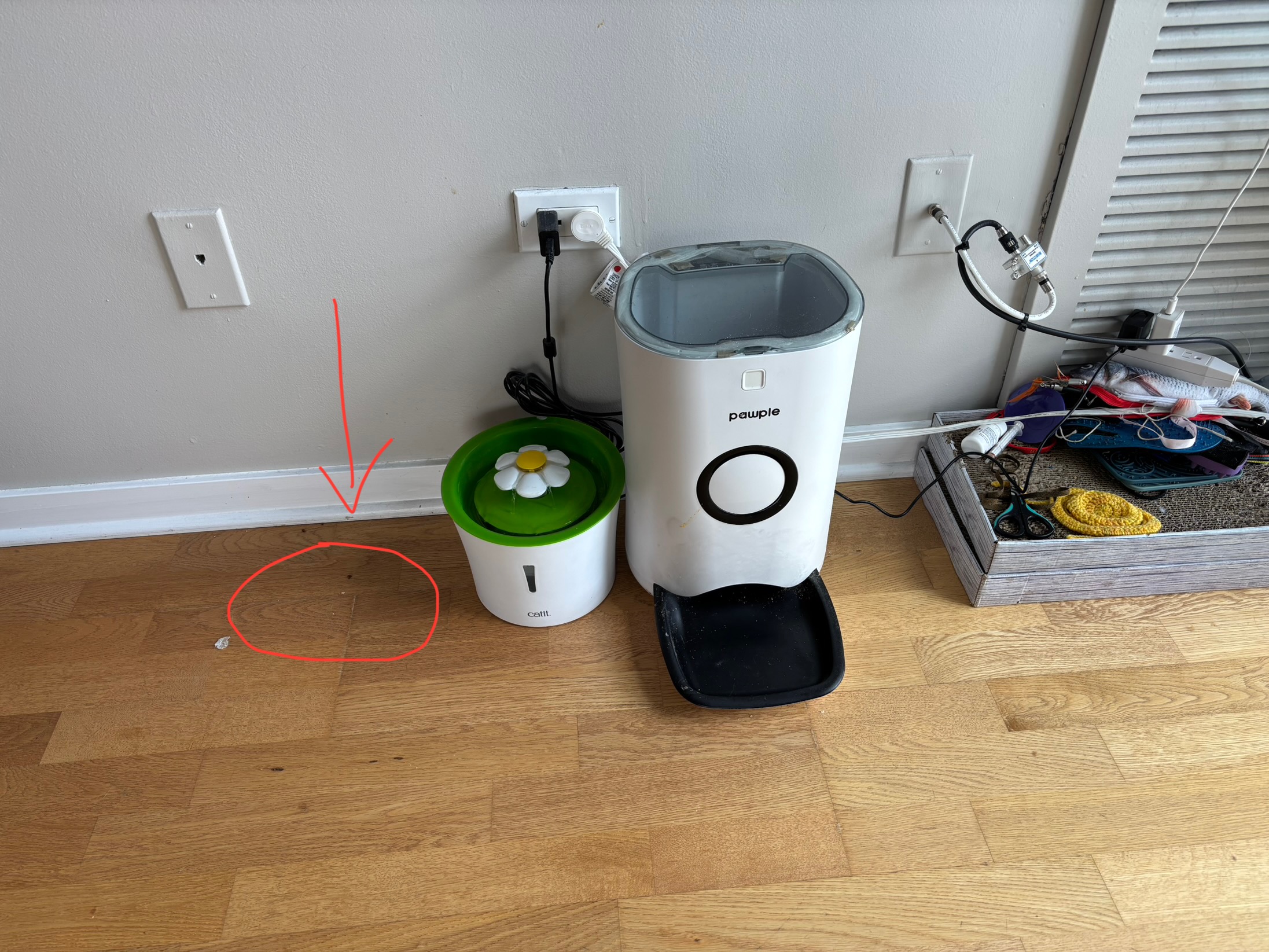 Wet food serving step 2